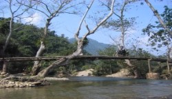 vietnam motorcycle tours